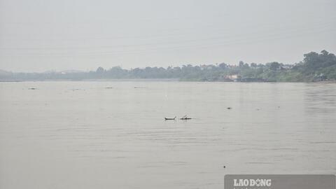 Sông Hồng sẽ có lũ trong tháng 6