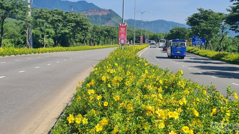 Đà Nẵng: Hơn 99% hộ dân được lấy ý kiến đồng thuận với chủ trương đưa 10 xã lên phường