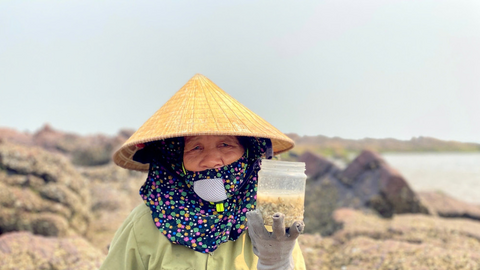 Nhọc nhằn nghề đẽo đá 'ra tiền' của phụ nữ miền biển
