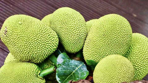 Công bố 37 cơ sở đủ điều kiện kiểm nghiệm trái cây xuất khẩu sang Trung Quốc