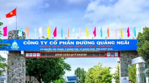 Đường Quảng Ngãi (QNS) nâng vốn dự án điện sinh khối lên hơn 1.500 tỷ đồng, nợ vay ngắn hạn đã vượt 3.400 tỷ đồng