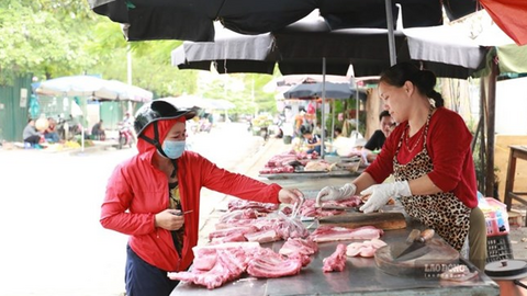 Giá heo hơi hôm nay 5.8: Tiếp tục giảm, thấp nhất là 60.000 đồng/kg