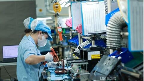 Việt Nam nổi lên là điểm đến hấp dẫn của dòng vốn đầu tư quốc tế
