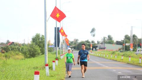 Rực sắc cờ Tổ quốc trên tuyến vành đai Tân An chào mừng lễ 2.9