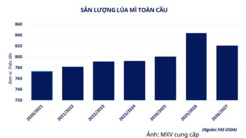 Giá lúa mì giảm sâu khi lo ngại nguồn cung Biển Đen hạ nhiệt
