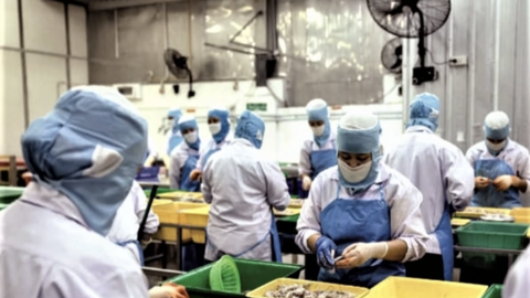 Ngành thủy sản cần chuyển mạnh mô hình tăng trưởng đáp ứng yêu cầu thị trường