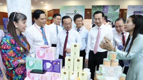 TP. Hồ Chí Minh liên kết vùng để huy động 10 triệu tỷ đồng