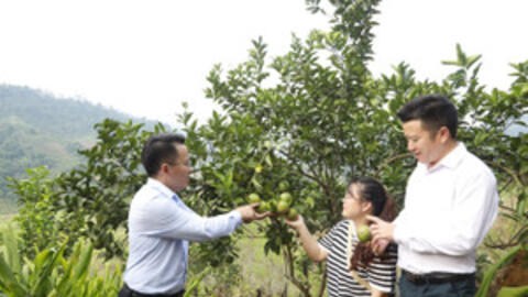 Thanh Hóa đổi thay diện mạo vùng khó khăn nhờ giảm nghèo bền vững