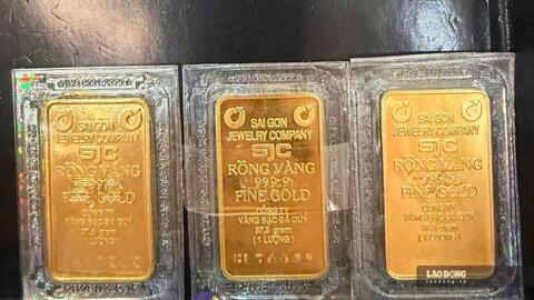 Giá vàng lao dốc 25%, nhà đầu tư vẫn âm thầm gom hàng tỉ USD