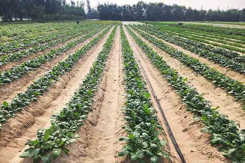 <a href="/tieu-diem-24h" title="Tiêu điểm 24h" rel="dofollow">Tiêu điểm 24h</a>