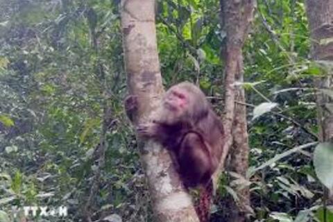 <a href="/xa-hoi" title="Xã hội" rel="dofollow">Xã hội</a>