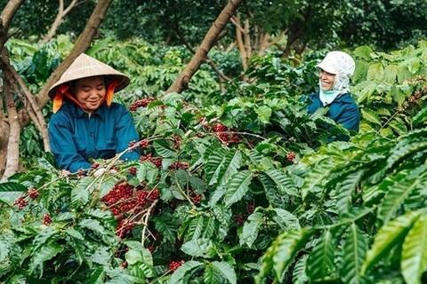 <a href="/thi-truong" title="Thị trường" rel="dofollow">Thị trường</a>