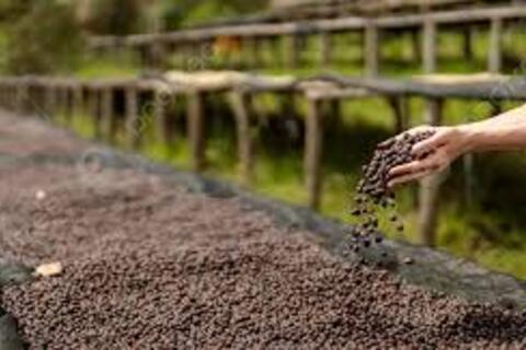 <a href="/thi-truong" title="Thị trường" rel="dofollow">Thị trường</a>