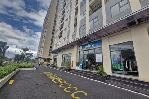 <a href="/thi-truong" title="Thị trường" rel="dofollow">Thị trường</a>