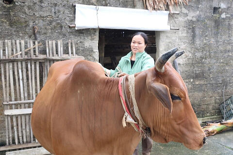 <a href="/xa-hoi" title="Xã hội" rel="dofollow">Xã hội</a>