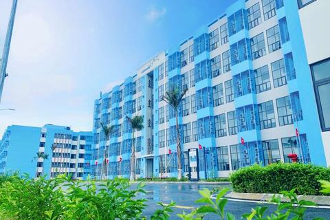 <a href="/thi-truong" title="Thị trường" rel="dofollow">Thị trường</a>