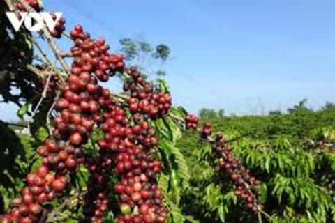 <a href="/thi-truong" title="Thị trường" rel="dofollow">Thị trường</a>