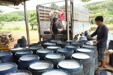 <a href="/xa-hoi" title="Xã hội" rel="dofollow">Xã hội</a>