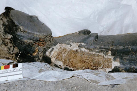 <a href="/the-gioi" title="Thế giới" rel="dofollow">Thế giới</a>