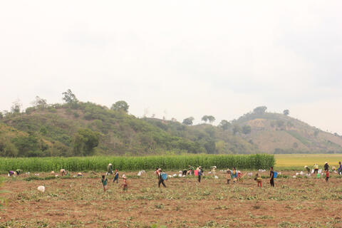 <a href="/xa-hoi" title="Xã hội" rel="dofollow">Xã hội</a>