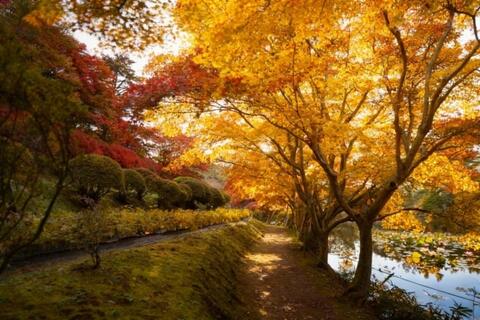 <a href="/the-gioi" title="Thế giới" rel="dofollow">Thế giới</a>