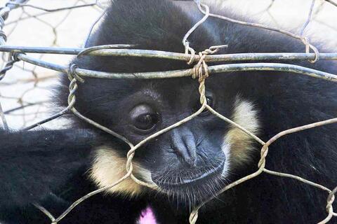 <a href="/tieu-diem-24h" title="Tiêu điểm 24h" rel="dofollow">Tiêu điểm 24h</a>