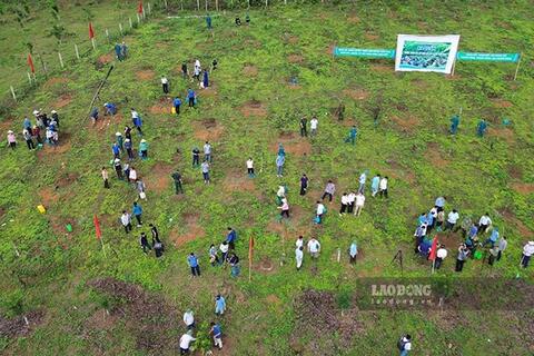 <a href="/doanh-nghiep" title="Doanh nghiệp" rel="dofollow">Doanh nghiệp</a>