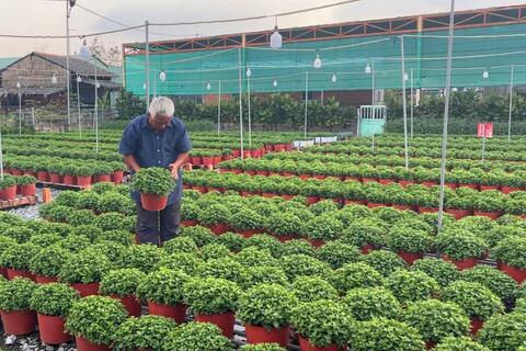 <a href="/thi-truong" title="Thị trường" rel="dofollow">Thị trường</a>