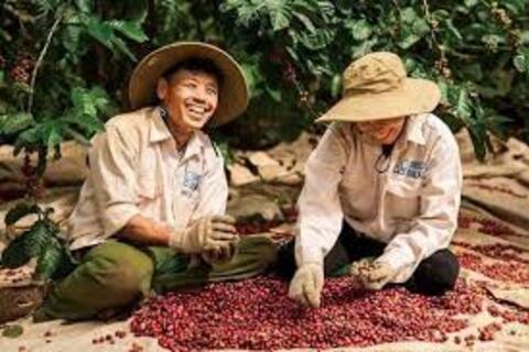 <a href="/thi-truong" title="Thị trường" rel="dofollow">Thị trường</a>