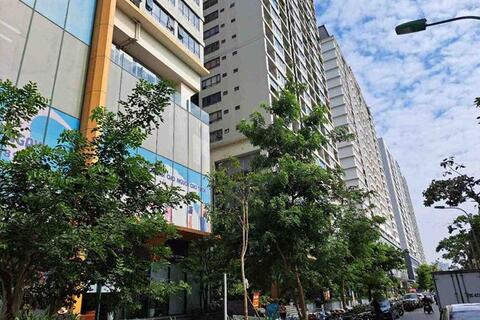 <a href="/thi-truong" title="Thị trường" rel="dofollow">Thị trường</a>