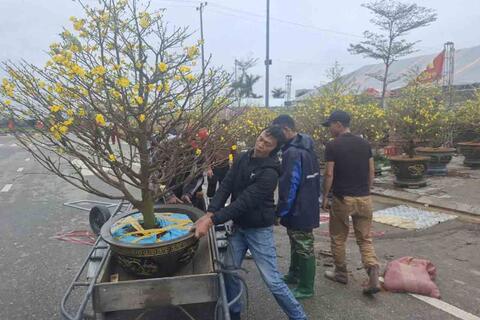 <a href="/thi-truong" title="Thị trường" rel="dofollow">Thị trường</a>