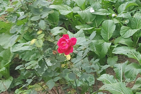 <a href="/xa-hoi" title="Xã hội" rel="dofollow">Xã hội</a>