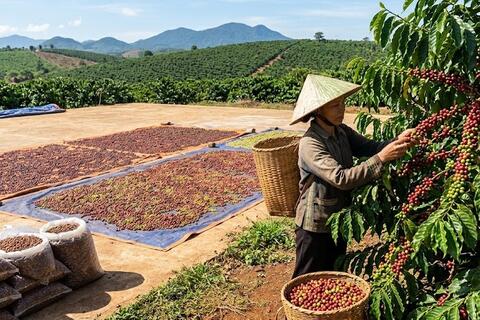 <a href="/thi-truong" title="Thị trường" rel="dofollow">Thị trường</a>