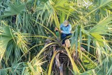 <a href="/xa-hoi" title="Xã hội" rel="dofollow">Xã hội</a>