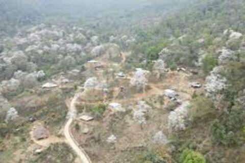 <a href="/xa-hoi" title="Xã hội" rel="dofollow">Xã hội</a>