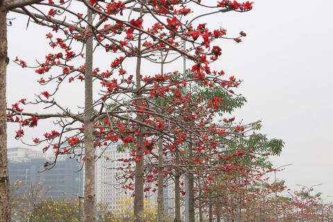 <a href="/xa-hoi" title="Xã hội" rel="dofollow">Xã hội</a>