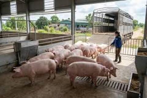 <a href="/thi-truong" title="Thị trường" rel="dofollow">Thị trường</a>