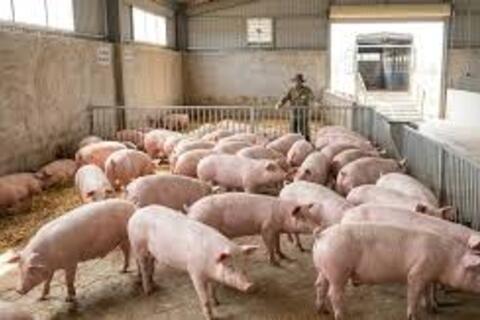 <a href="/thi-truong" title="Thị trường" rel="dofollow">Thị trường</a>