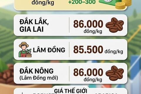 <a href="/thi-truong" title="Thị trường" rel="dofollow">Thị trường</a>