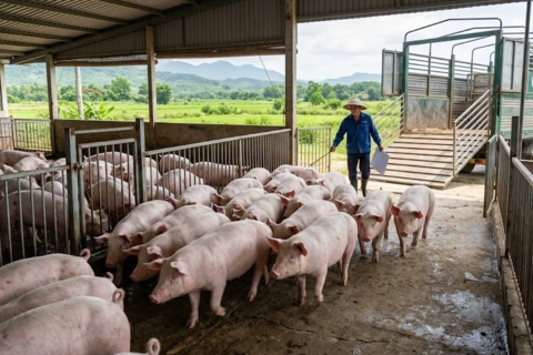 <a href="/thi-truong" title="Thị trường" rel="dofollow">Thị trường</a>