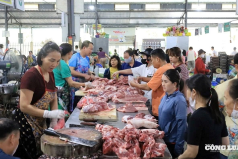 <a href="/thi-truong" title="Thị trường" rel="dofollow">Thị trường</a>