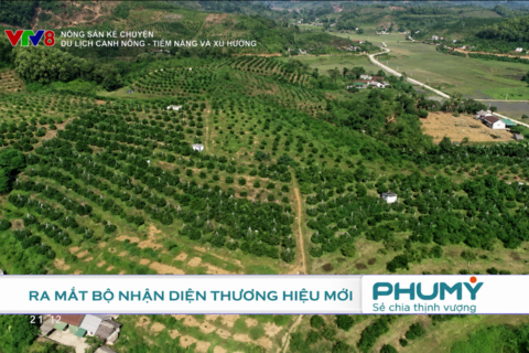 <a href="/doanh-nghiep" title="Doanh nghiệp" rel="dofollow">Doanh nghiệp</a>