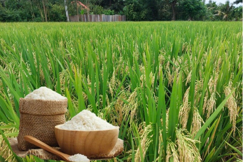 <a href="/thi-truong" title="Thị trường" rel="dofollow">Thị trường</a>
