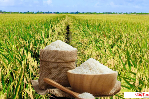 <a href="/thi-truong" title="Thị trường" rel="dofollow">Thị trường</a>