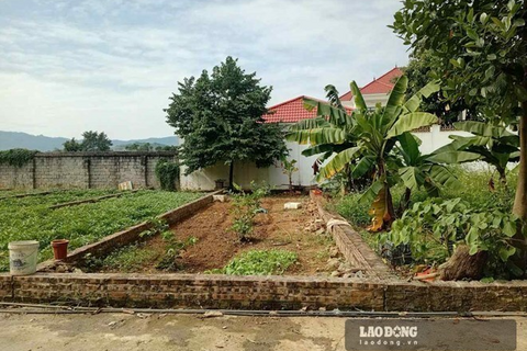 <a href="/thi-truong" title="Thị trường" rel="dofollow">Thị trường</a>