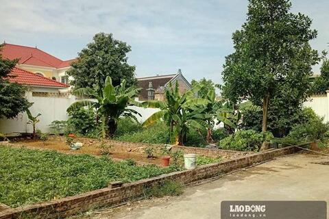 <a href="/thi-truong" title="Thị trường" rel="dofollow">Thị trường</a>