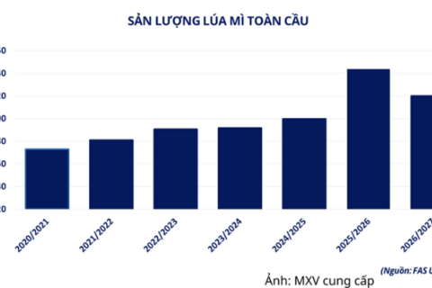 <a href="/thi-truong" title="Thị trường" rel="dofollow">Thị trường</a>