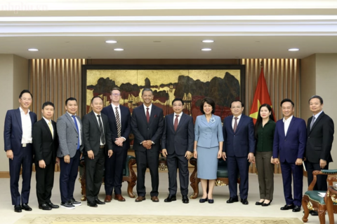 <a href="/dau-tu-hop-tac" title="Đầu tư - Hợp tác" rel="dofollow">Đầu tư - Hợp tác</a>