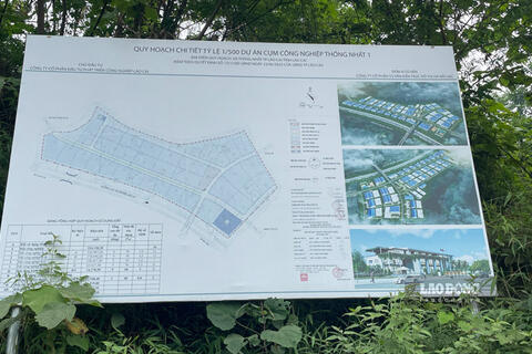 <a href="/dau-tu-hop-tac" title="Đầu tư - Hợp tác" rel="dofollow">Đầu tư - Hợp tác</a>