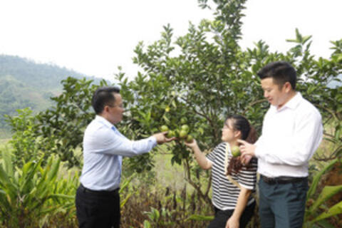 <a href="/xa-hoi" title="Xã hội" rel="dofollow">Xã hội</a>